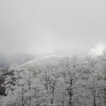 年末年始の山形蔵王スキー（2016/12/31-1/1）